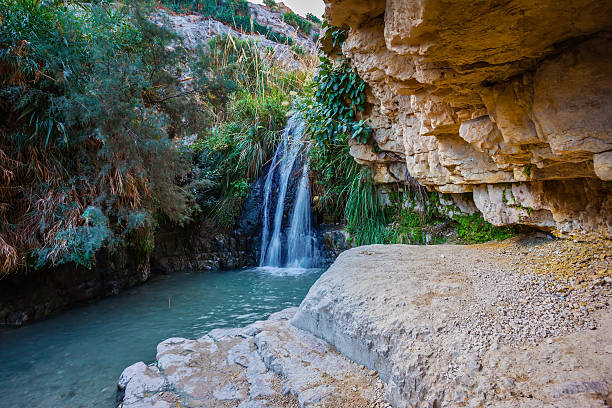 istock The waterfall and small scenic pond 506353148