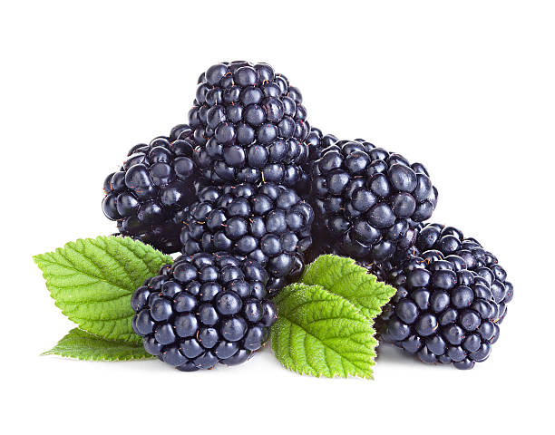 moras aislado sobre fondo blanco. - blackberry fruit mulberry isolated fotografías e imágenes de stock