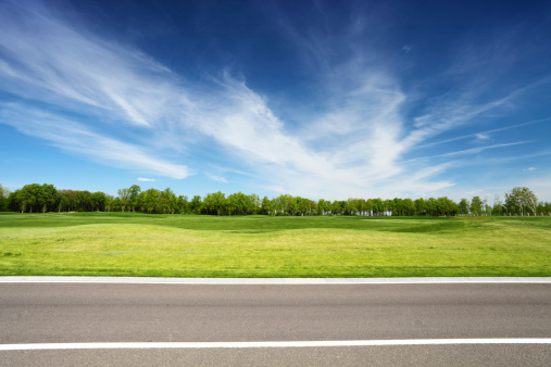 green meadow with trees and asphalt road, blue sky on background