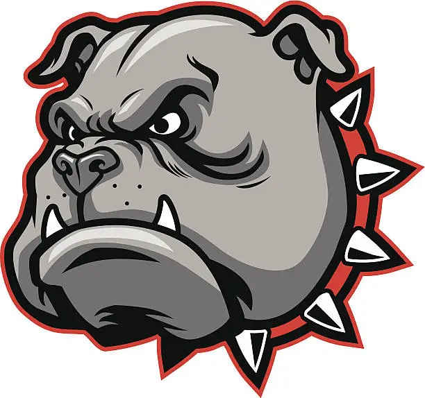 Vector illustration of bulldog mascot