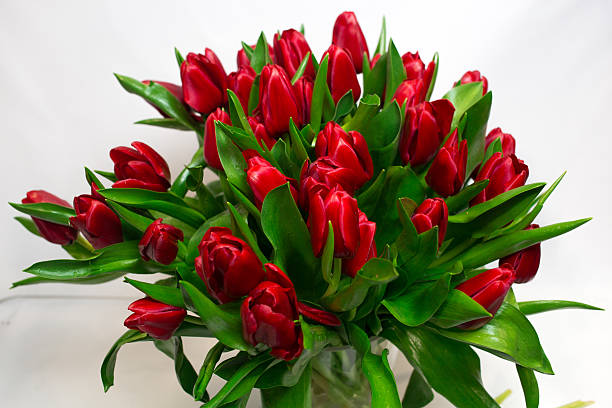 istock Bouquet of red tulips isolated on white background 506388014