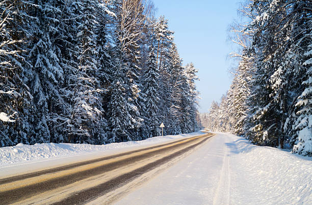 istock Winter road in wood 506392232