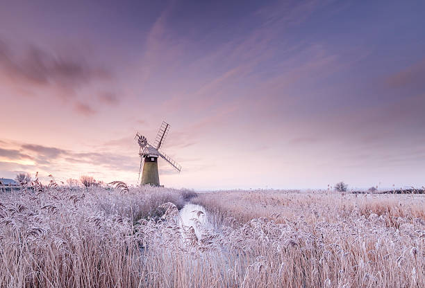 冬のミル - scenics landscape windmill sunrise ストックフォトと画像