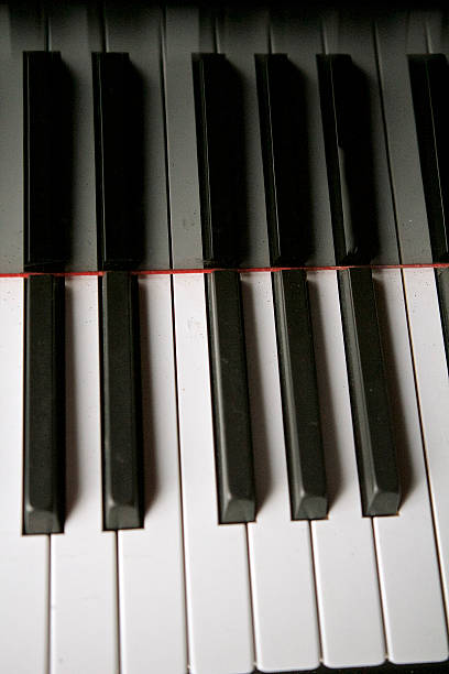 touches de piano - d key photos et images de collection