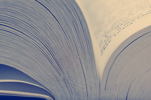 istock Macro view of book pages. Toned image. Copy space for 506394616