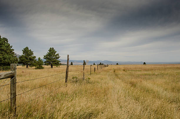 istock Old Barbed Wire Fence in Dry Field 506394926