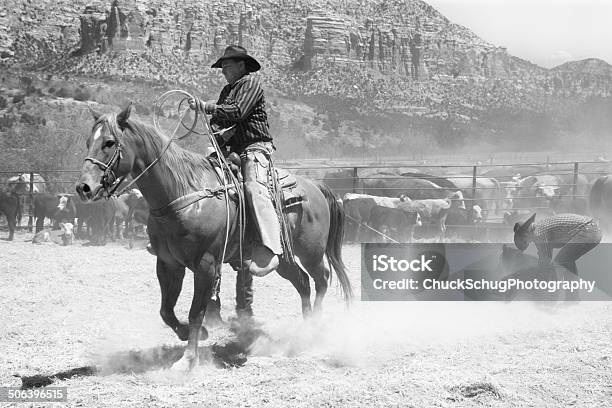 Horseback Cowboy Lassoing Cattle Stock Photo - Download Image Now - Adult, Animal Pen, Animal Welfare