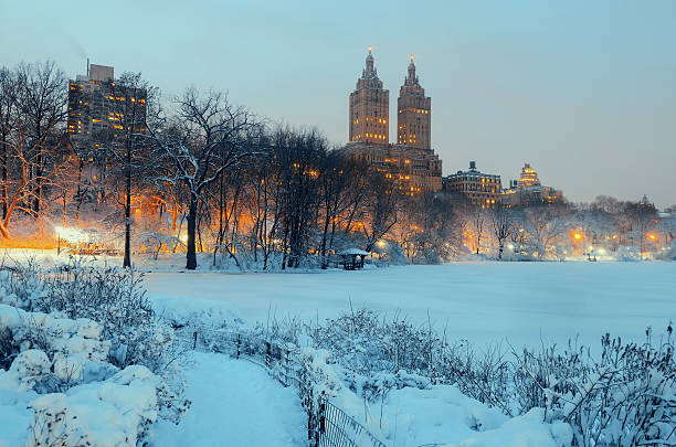 central park winter - new york city new york state skyline winter foto e immagini stock