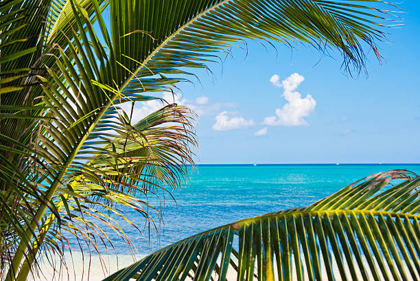 istock Corner of paradise 506398290