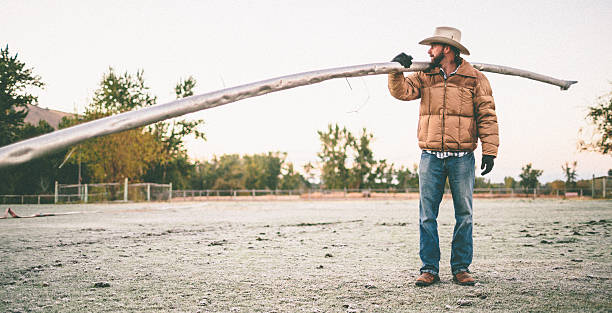 Cowboy standing in field carries irrigation pipe over shoulder stock photo