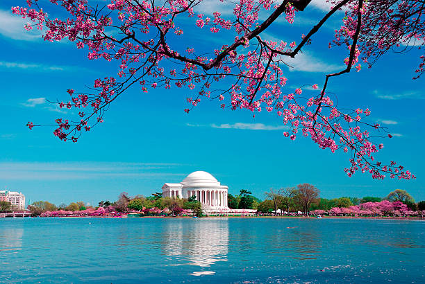 istock Thomas Jefferson national memorial, Washington DC 506398492