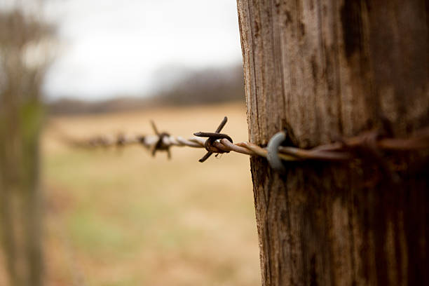 철조망, 얕은 심도 - barbed wire rural scene wooden post fence 뉴스 사진 이미지