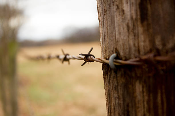 Barbed wire or bobbed wire fence with wooden fence post on agriculture farmland in Queensland Australia