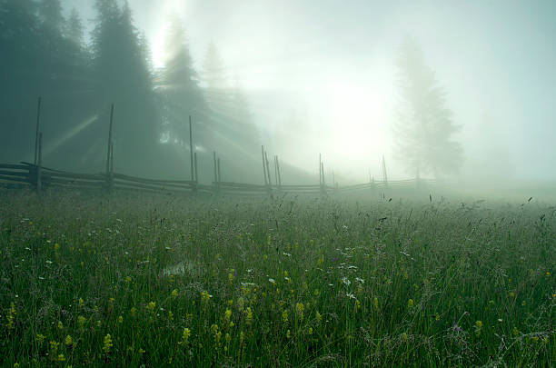 istock evening mountain plateau landscape (Carpathian, Ukraine) 506399587