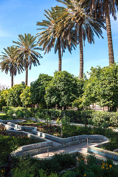 istock Naranjestan garden 506399947