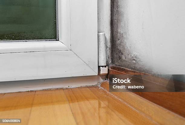 Moisture And Mold Problems In A House Stock Photo - Download Image Now - Fungal Mold, Basement, Condensation