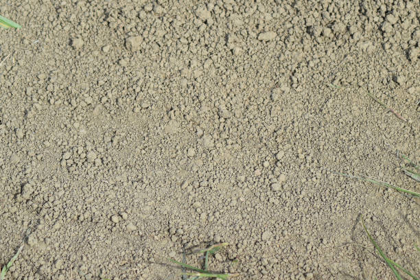 istock The soil on a dirt road 506401254