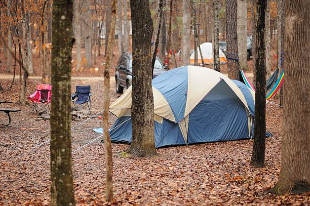 istock Wooded campsite in state park with dome tent 506401284