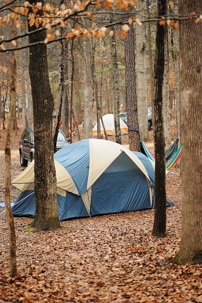 istock Tent in wooded campsite 506401334