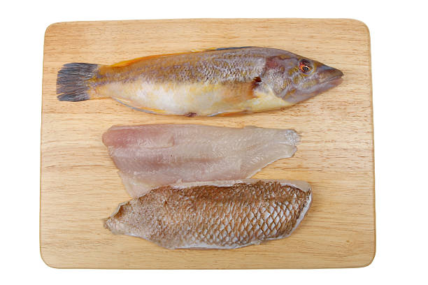 istock Whole wrasse and fillets 506401874