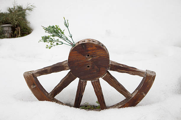 Wooden half wheel with plants on a background of white snow