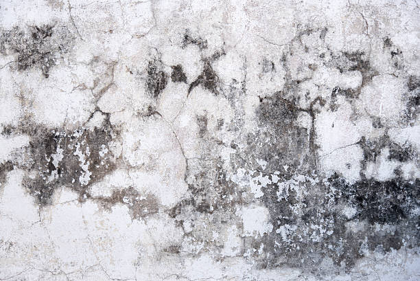 istock grungy concrete wall 506402606