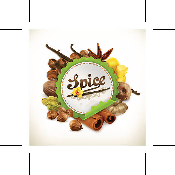 ilustraciones, imágenes clip art, dibujos animados e iconos de stock de especia vector de etiqueta - nutmeg india spice nut