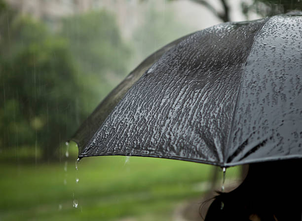istock Girl with an umbrella 506429067