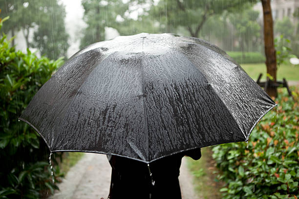istock Girl with an umbrella 506430193