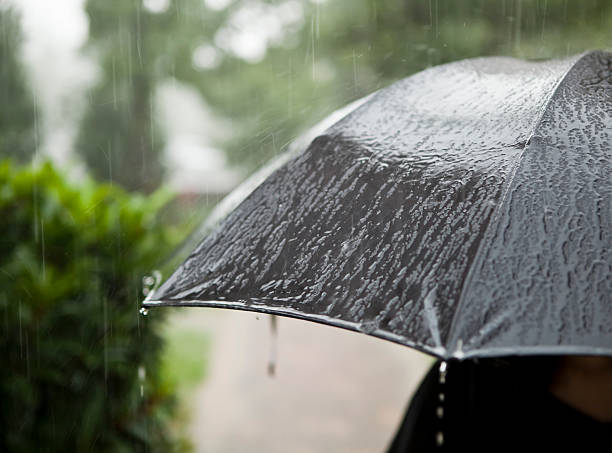 istock Girl with an umbrella 506430197