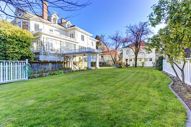 istock Luxury house with backyard garden 506430647