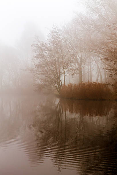 istock Misty morning on the waterfront. 506430722