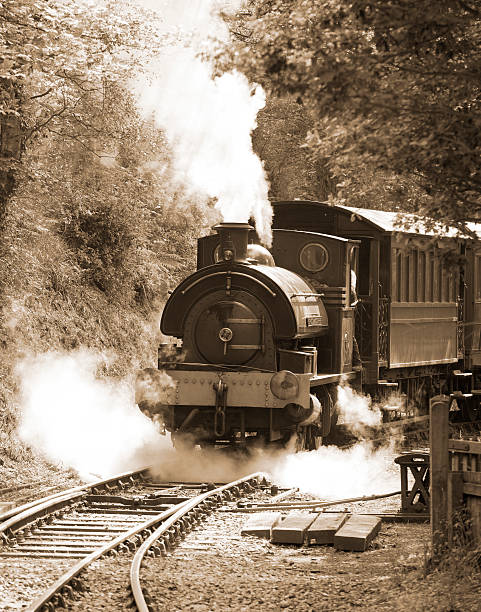 istock Steam Train in Sepia 506430953