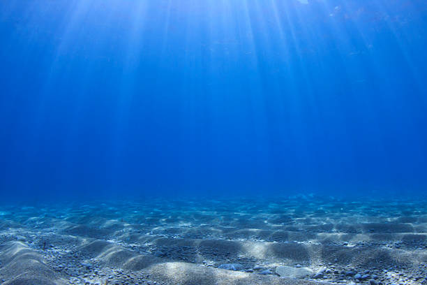 istock Underwater background in sea 506431569