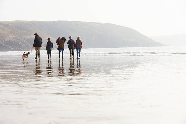 Multi Generation Family Walking On Winter Beach With Dog