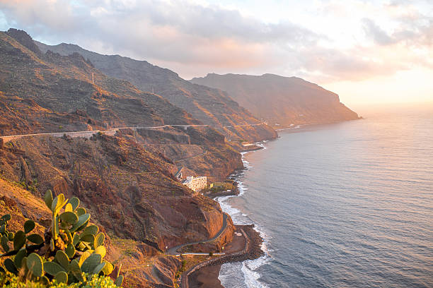 istock Tenerife coastline in Anaga park 506431800