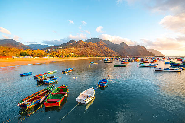 fishing boats on the sunrise - tenerife stockfoto's en -beelden