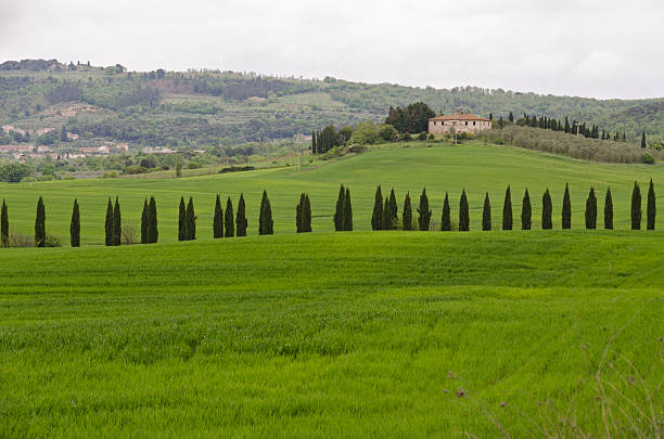 istock Landscape of Tuscany 506432033