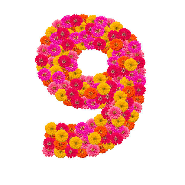 istock number 9  made from Zinnias flowers 506432057