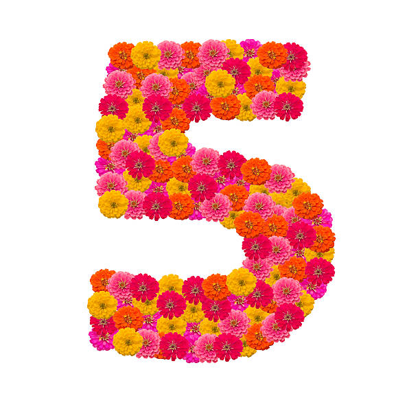 istock number 5  made from Zinnias flowers 506432311