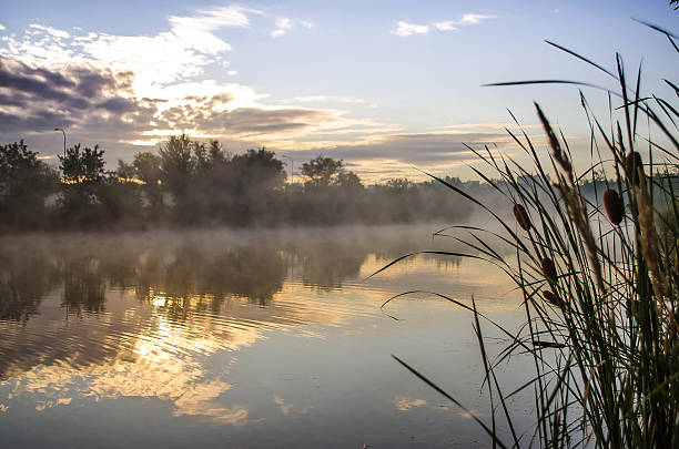 istock Sunrise at city park 506432609