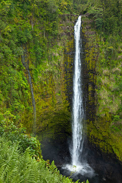 istock Scenic Akaka Falls, Hawaii, Aerial View 506433055
