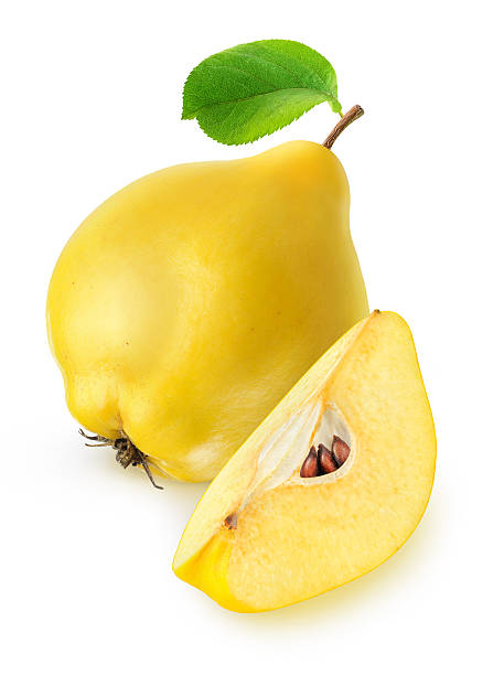 istock Quince fruit isolated on white with clipping path 506436692