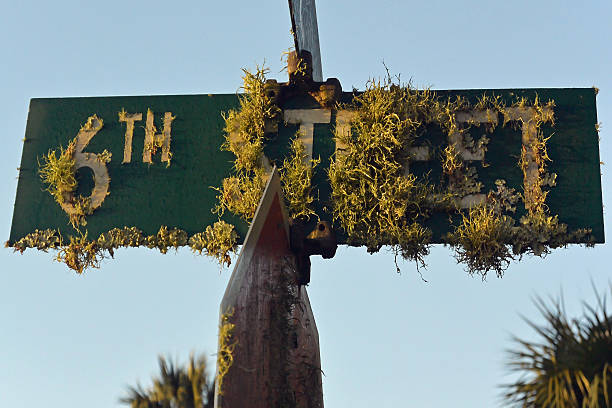 Barnacles cling to letters of a street sign near a marina. 