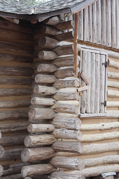 istock Wooden cabin 506439256