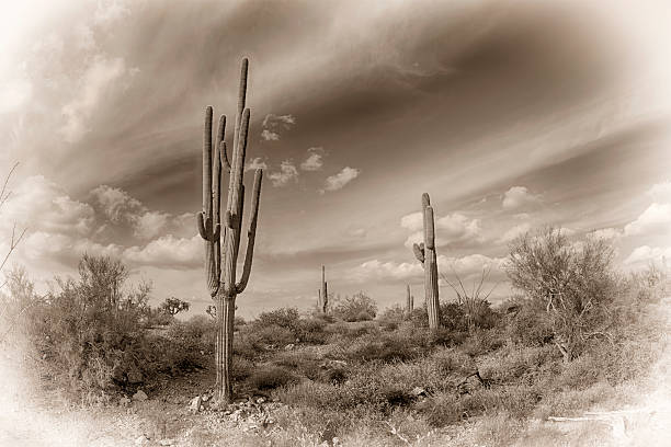 An image of the Superstition desert in Arizona processed with an antique look shows the rugged detail of a dry wilderness.