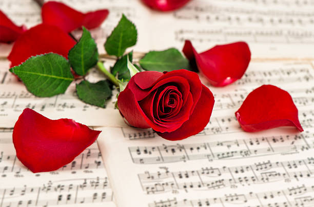 istock Red rose flower. Music notes 506442624