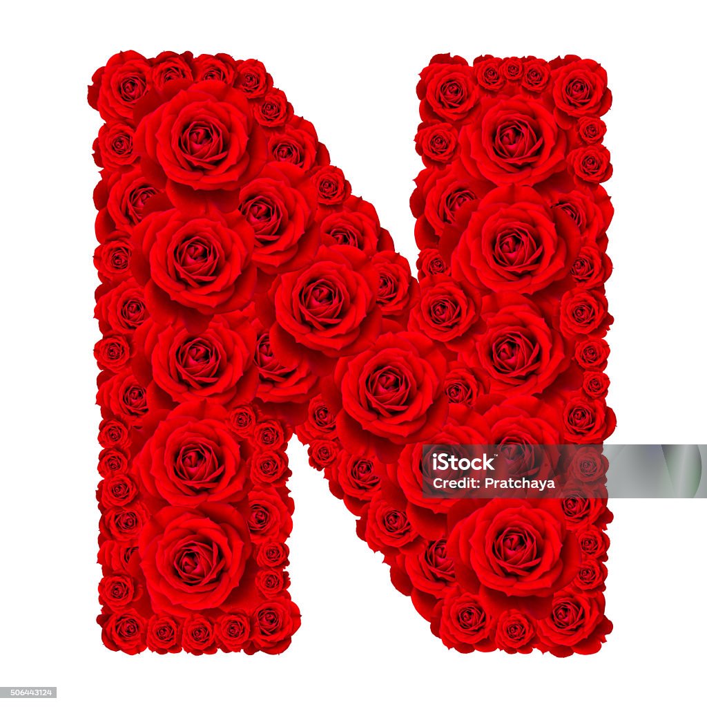 Alphabet Capital Letter N Made From Red Rose Stock Photo ...