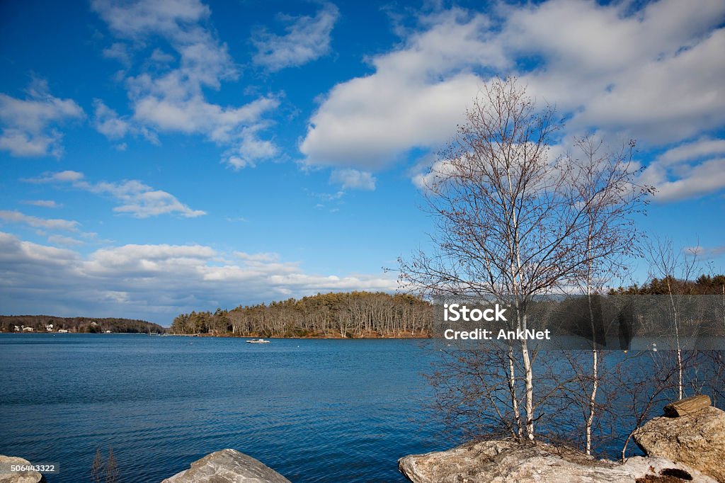 Maine late fall landscapes Young birch trees are growing on the rocks of the Maine coastline, blue sky, blue water, lobster buoys far away. Autumn Stock Photo