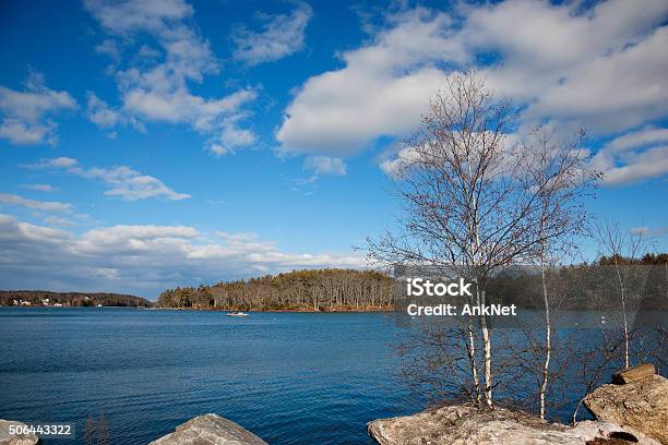 Maine Late Fall Landscapes Stock Photo - Download Image Now - Autumn, Birch Tree, Blue